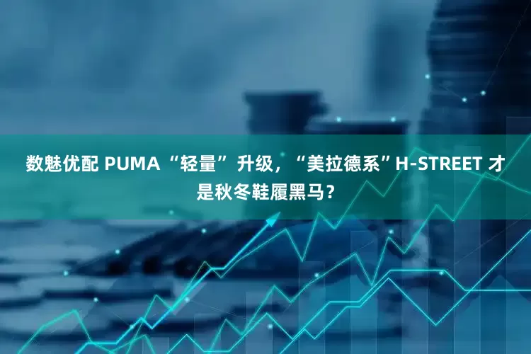 数魅优配 PUMA “轻量” 升级，“美拉德系”H-STREET 才是秋冬鞋履黑马？